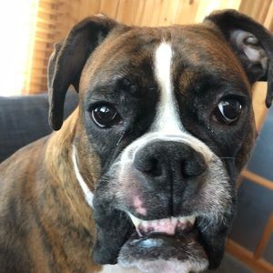 Meet your Posher, Zachary